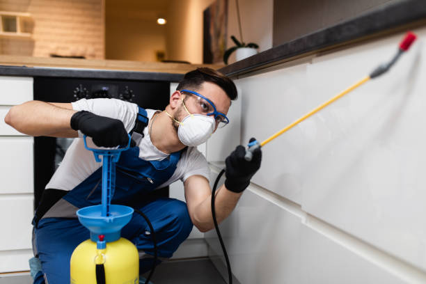 Best Ant Control Services  in Broadway, NC