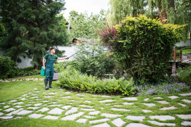 Pest Prevention Services in Broadway, NC