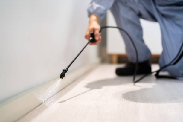 Professional Pest Control in Broadway, NC