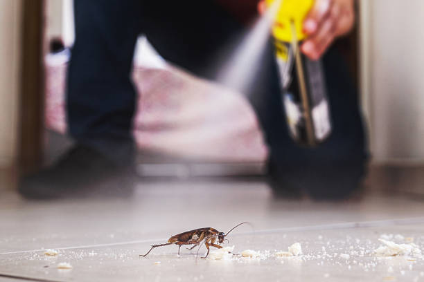 Best Local Pest Control Services  in Broadway, NC