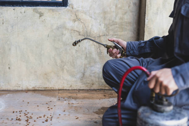 Best Pest Removal Services  in Broadway, NC